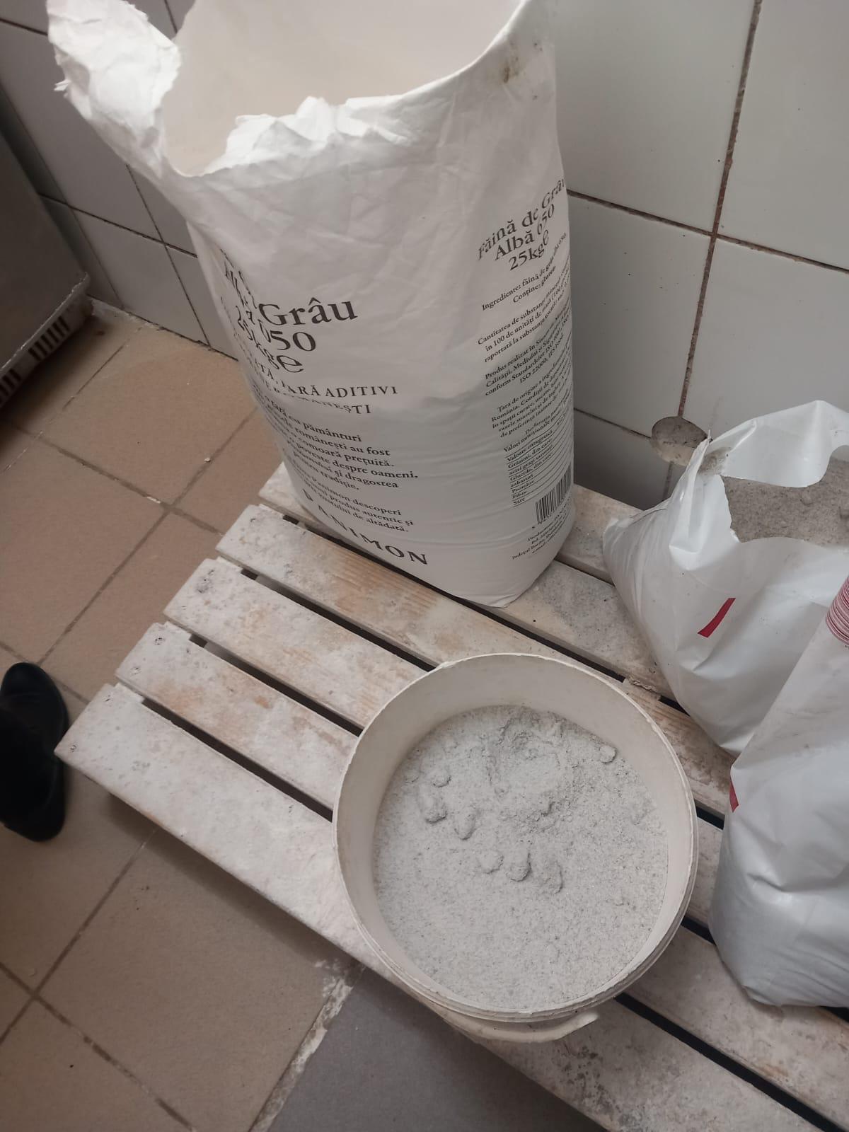 Brutărie din Iaşi, închisă de ANPC. Inspectorii, surprinşi de ce au descoperit: "Gândacii erau eclipsați de șobolani"