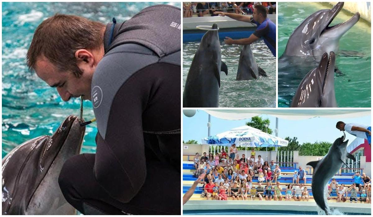 "Îţi mulțumesc pentru tot ce m-ai învățat și pentru ca m-ai ales". Chen Chen, unul dintre delfinii care au încântat publicul timp de zeci de ani, a murit