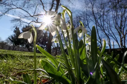 Încălzire spectaculoasă a vremii, temperaturile vor ajunge la 20 grade