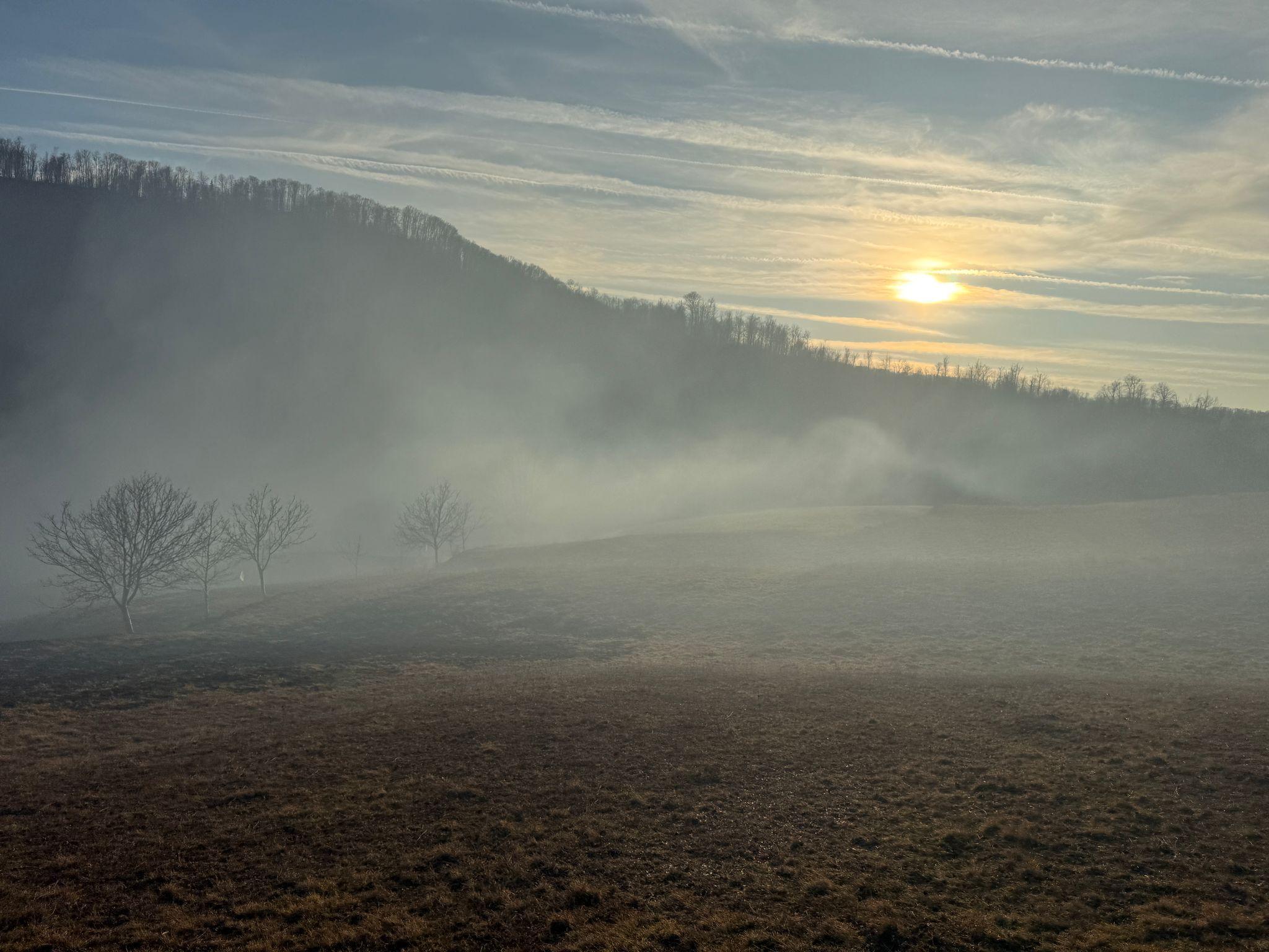 Incendiu vegetatie Maramures 7 martie