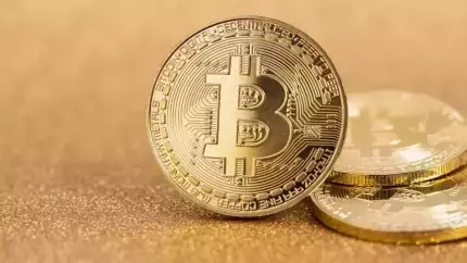 Preţul unui bitcoin astăzi, joi 1 mai 2025 Preţul unui bitcoin astăzi, joi 1 mai 2025