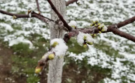 ANM a actualizat prognoza meteo pentru următoarele patru săptămâni. Vremea în România până pe 9 iunie ANM a actualizat prognoza meteo pentru următoarele patru săptămâni. Vremea în România până pe 9 iunie