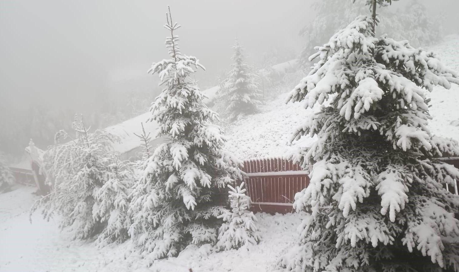 Capitala şi 12 judeţe, sub cod galben de vreme severă în următoarele ore. Lapoviță și ninsori la munte