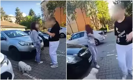 O copilă care îşi plimba câinele, bătută cu sălbăticie de o altă fată, în plină zi, pe o stradă din Alba Iulia O copilă care îşi plimba câinele, bătută cu sălbăticie de o altă fată, în plină zi, pe o stradă din Alba Iulia