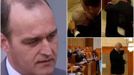 Dan Vîlceanu, trimis în judecată după ce l-a bătut în Parlament pe Florin Roman Dan Vîlceanu, trimis în judecată după ce l-a bătut în Parlament pe Florin Roman