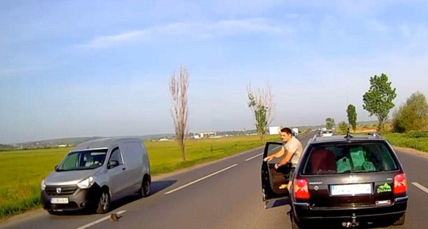 Un tânăr din Suceava a salvat un pisic care ajunsese în stradă, riscându-şi viaţa. Motănelul a fost adoptat, după ce povestea lui a devenit virală