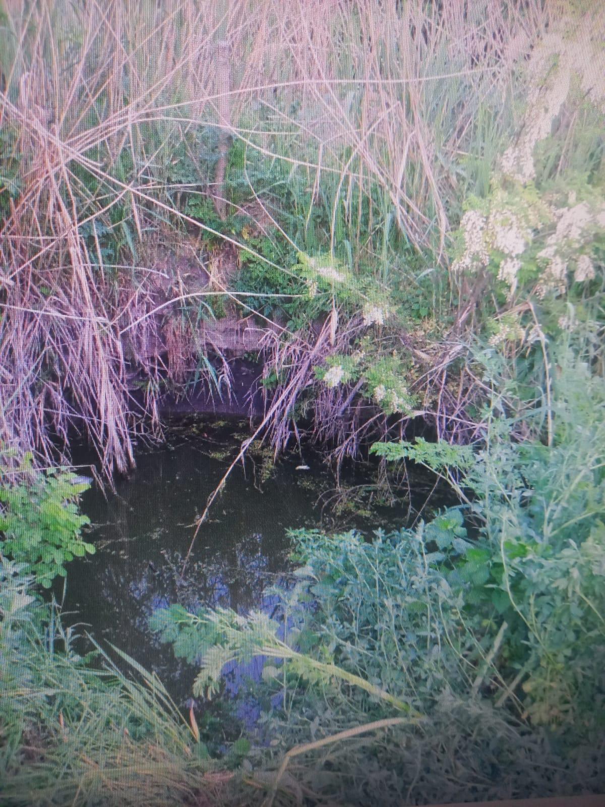 Un copilaş de cinci ani s-a înecat, după ce a căzut într-un iaz din Galaţi. Sorin s-a stins la câţiva metri de casă