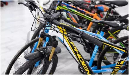 Un român a fost prins în Dolj după ce a furat biciclete scumpe din Germania Român căutat în toată Europa pentru furturi de 60.000 de euro, prins de polițiștii din Dolj
