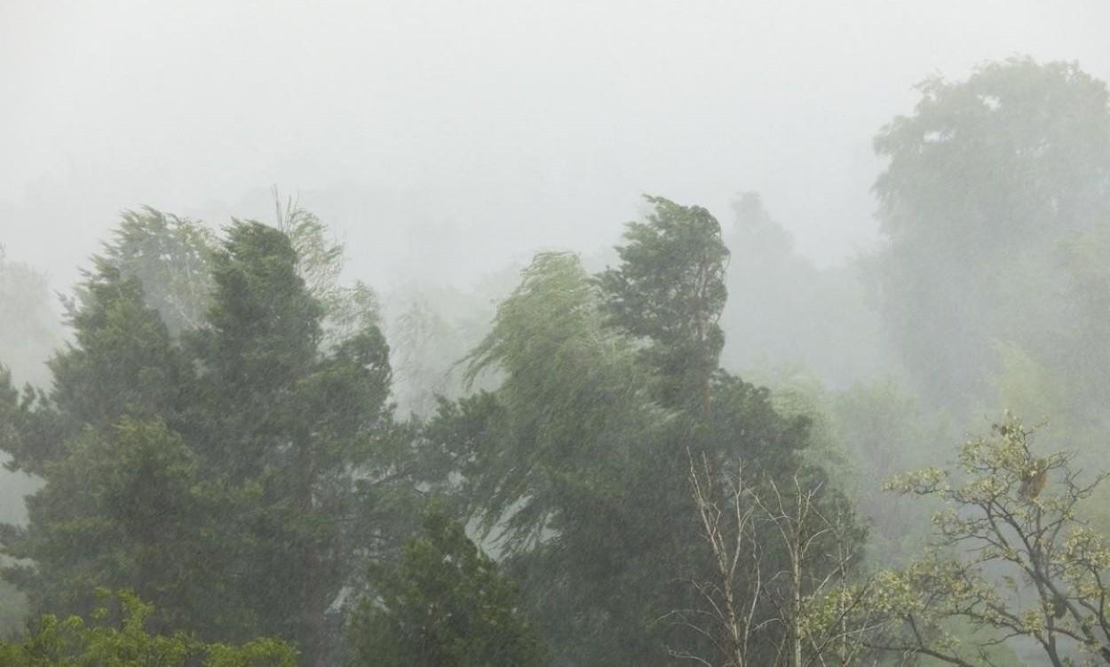 Cod galben de vreme severă emis de ANM. Vijelii puternice lovesc în 11 județe, în următoarele ore