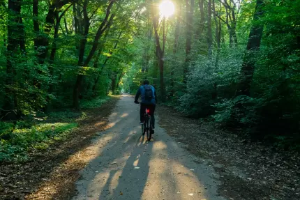 Un nou drum către Greenfield prin pădurea Băneasa. Fechet: Voi demite conducerea Romsilva dacă va fi deschis Un nou drum către Greenfield prin pădurea Băneasa. Fechet: Voi demite conducerea Romsilva dacă va fi deschis