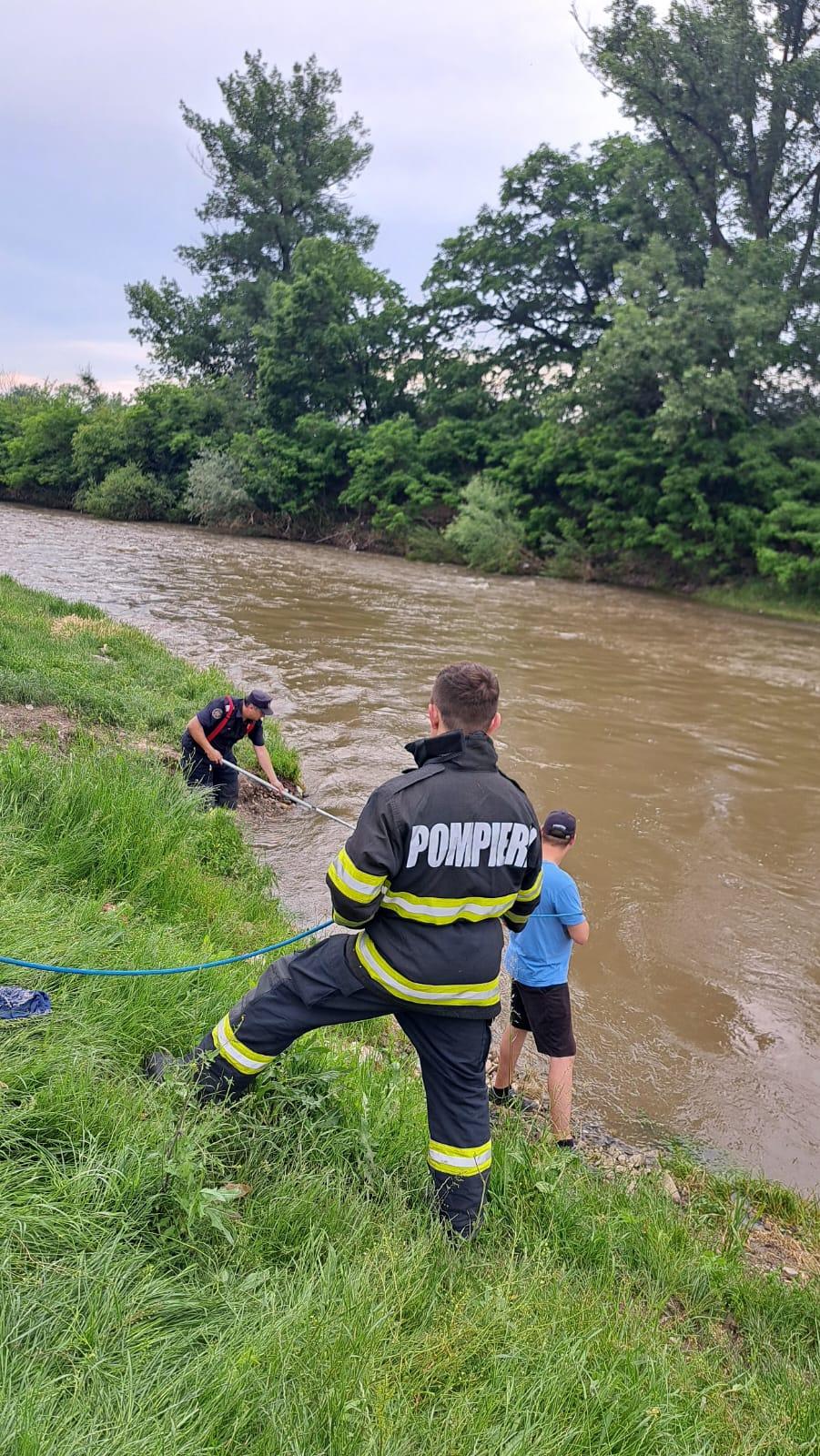 O fetiţă de 3 ani, căzută în râul Târnava Mare din Harghita. Pompierii au sistat căutările