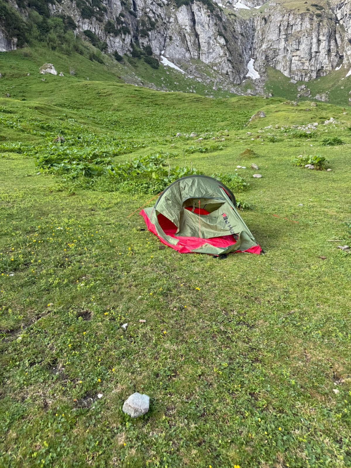 Familie cu doi copii şi-a abandonat cortul, după ce un urs a venit "în vizită", în zona Mălăieşti