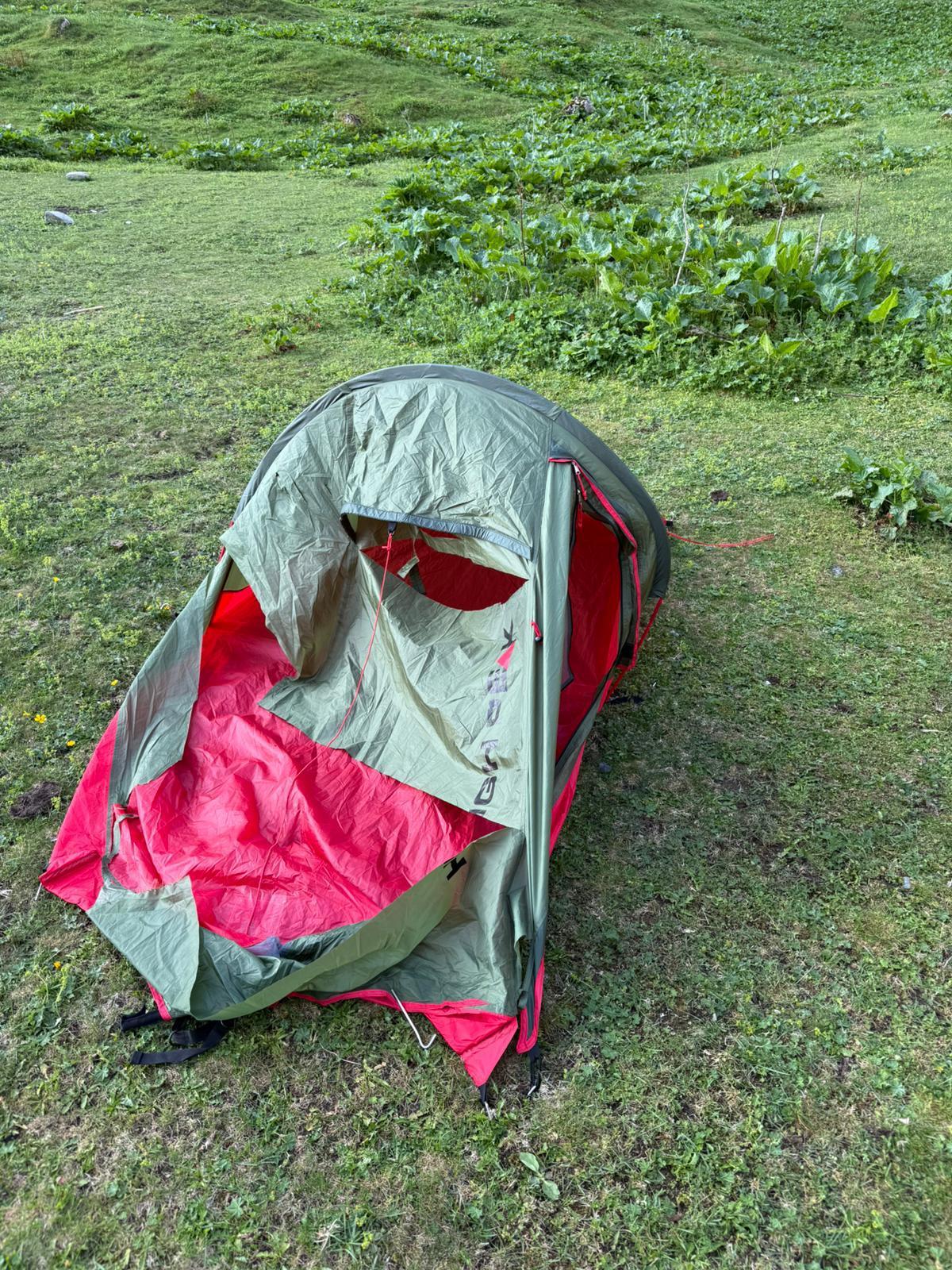 Familie cu doi copii şi-a abandonat cortul, după ce un urs a venit "în vizită", în zona Mălăieşti