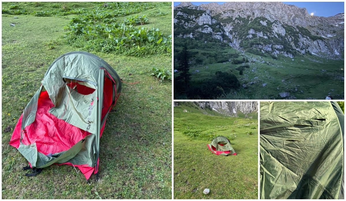 Familie cu doi copii şi-a abandonat cortul, după ce un urs a venit "în vizită", în zona Mălăieşti