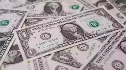 Leul românesc pierde teren important în raport cu dolarul american Leul românesc pierde teren important în raport cu dolarul american