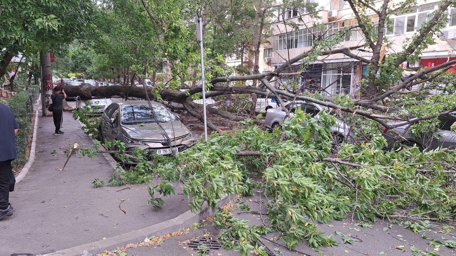 Cod roşu de vijelii în Bucureşti. Furtună, grindină de mari dimensiuni şi rafale de 90 km/h