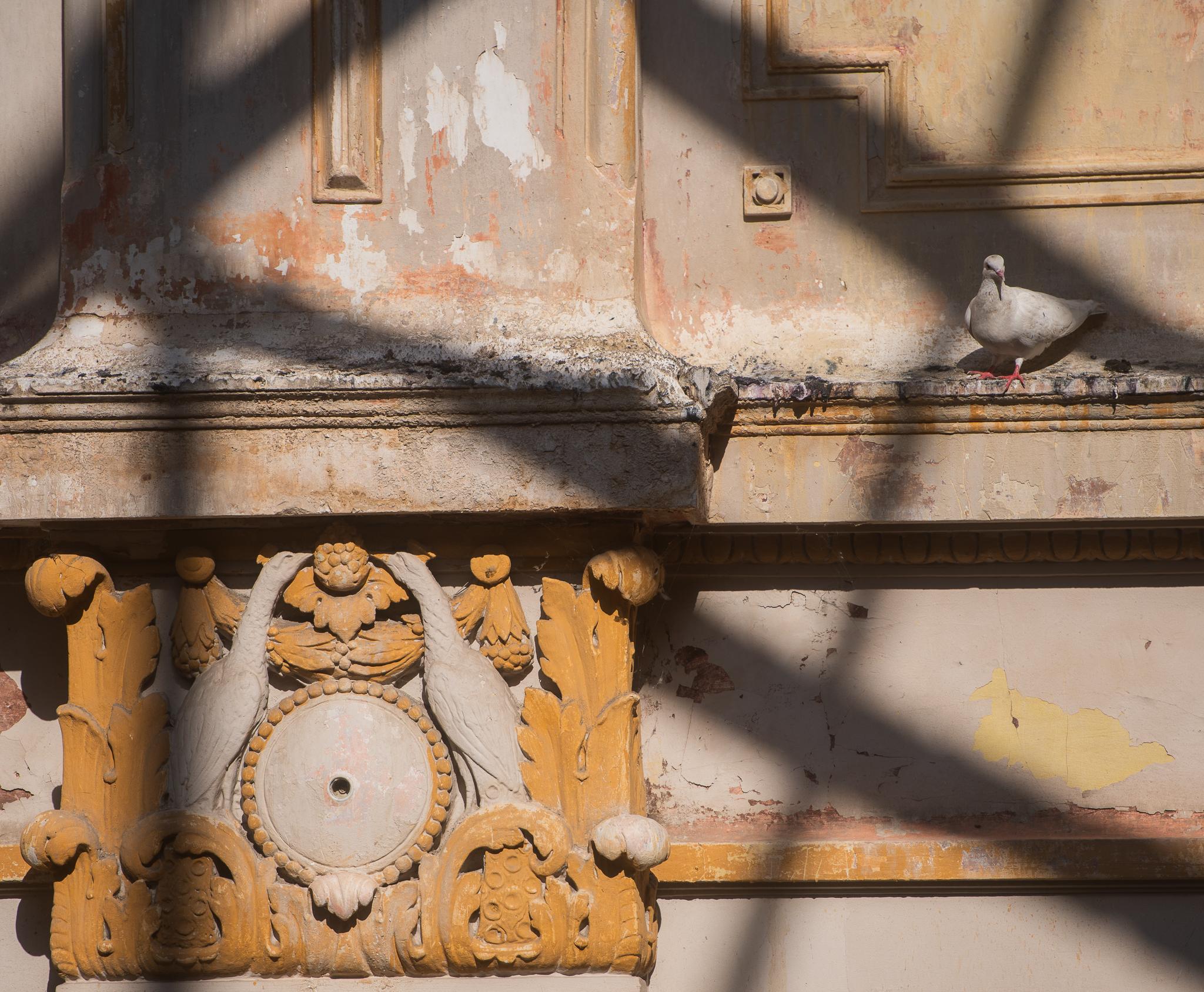 ARCEN redǎ o nouă viațǎ CINEMATOGRAFULUI MARCONI din București