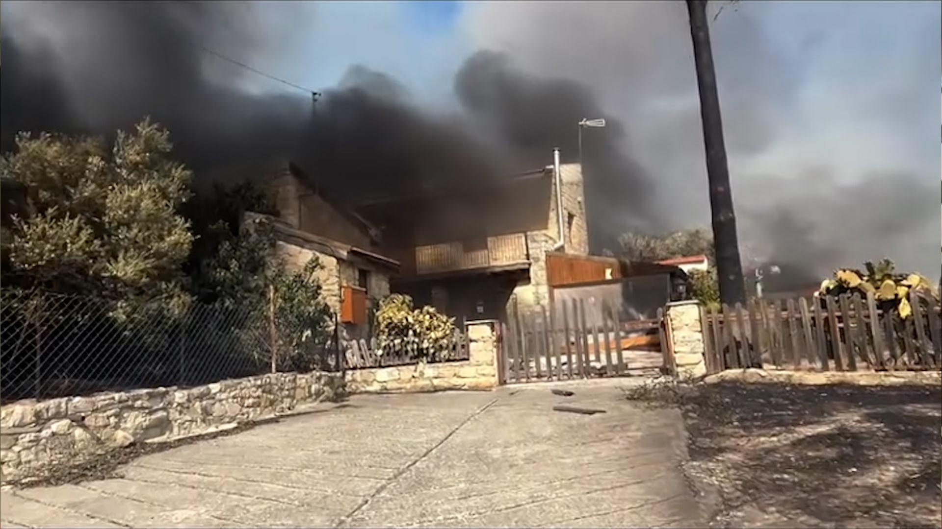 Incendiile de vegetaţie au făcut prăpăd în ţări precum Cipru şi Turcia