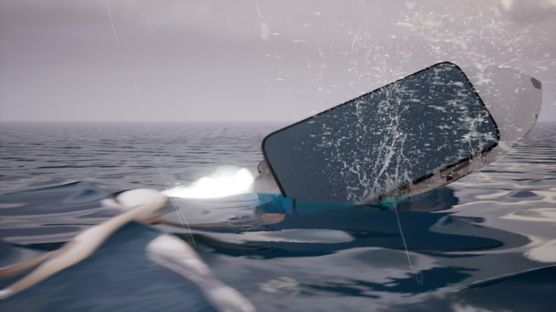 ANIMAŢIE. Cum s-a produs tragedia cu 4 morţi din Delta Dunării