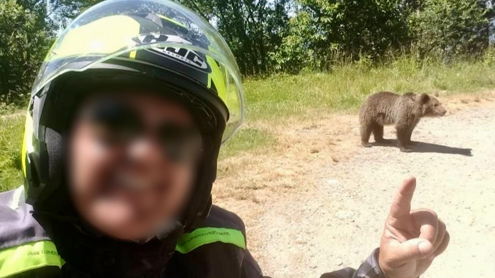 El este italianul ucis de ursoaică pe Transfăgărăşan. Momentul atacului