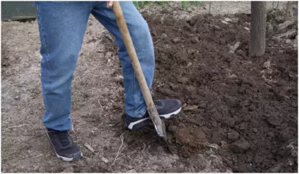 Bombă veche de aviație, descoperită în curtea unui localnic din Galați. Muniția era inactivă bombă de aviație de 100 kg găsită în Galaţi