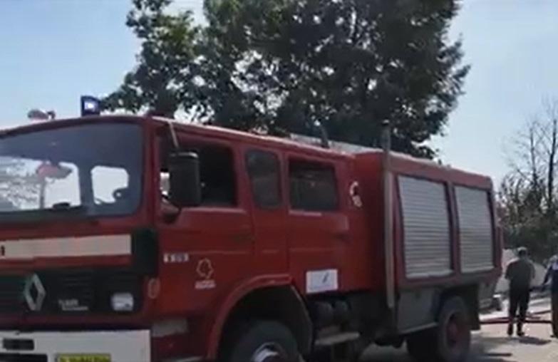 Incendii de vegetaţie în mai multe judeţe. În Tulcea, focul nu poate fi stins de zile bune