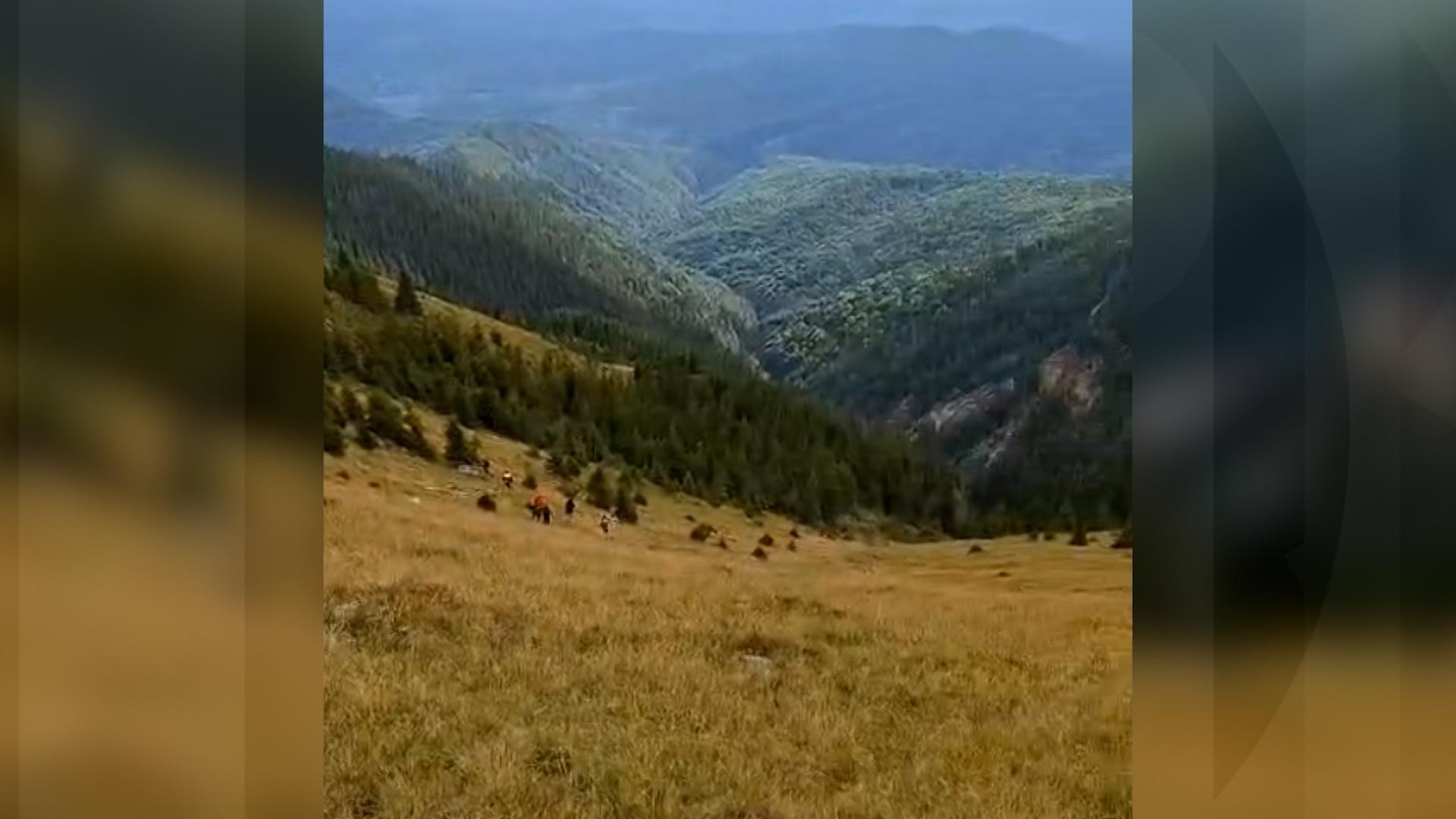 "Păcat de tinereţea lor". Cuplul mort în accidentul din Munţii Iezer, înormântat marţi, în Lereşti