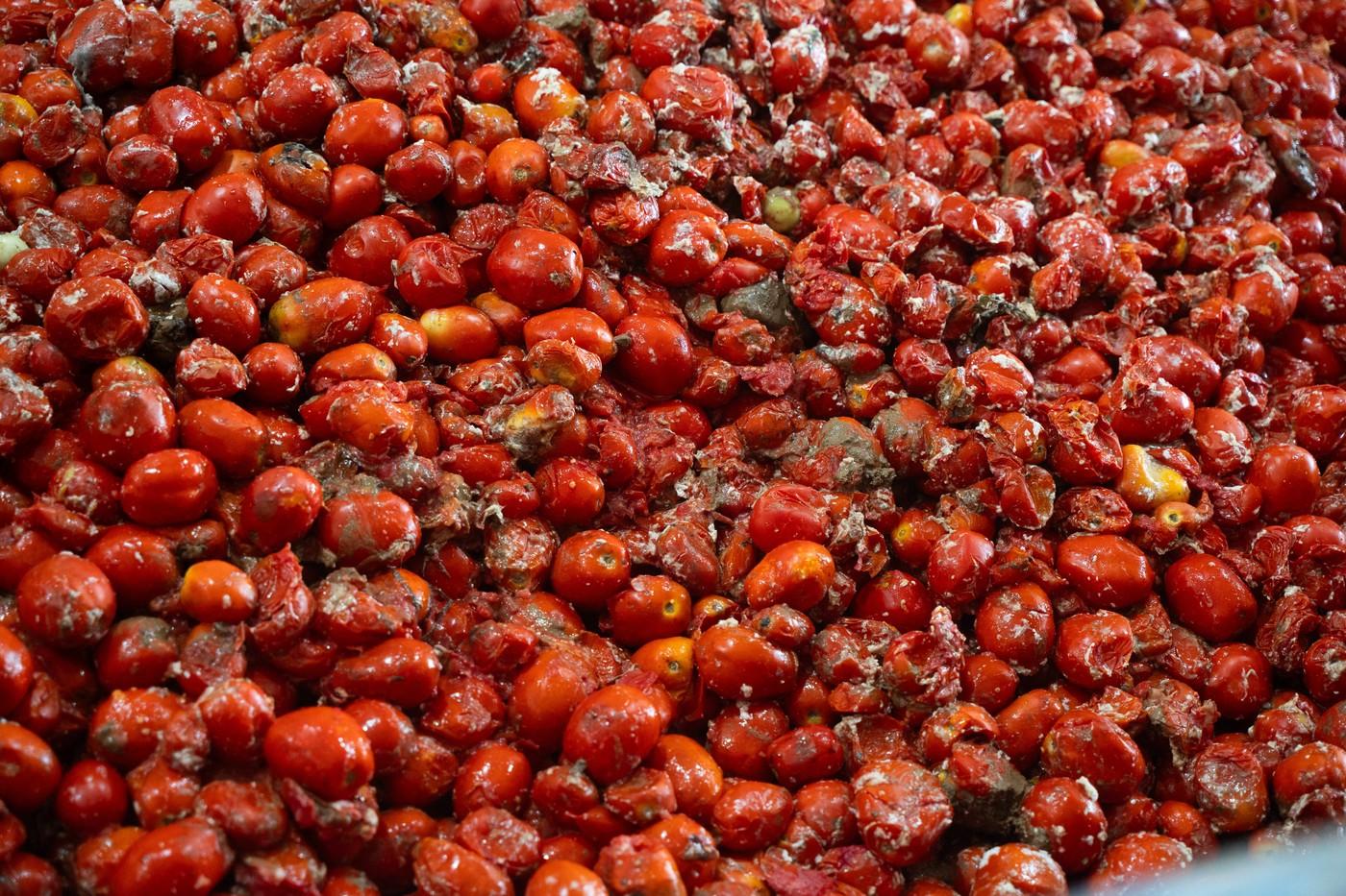 20.000 de oameni au participat la festivalul Tomatina 2025