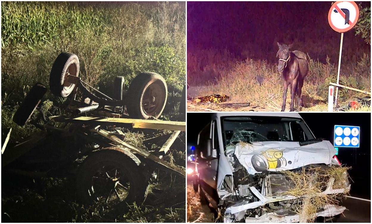 Căruţă făcută bucăţi, pe un drum din Mureş. Un bărbat şi unul dintre caii înhămaţi au murit după impact