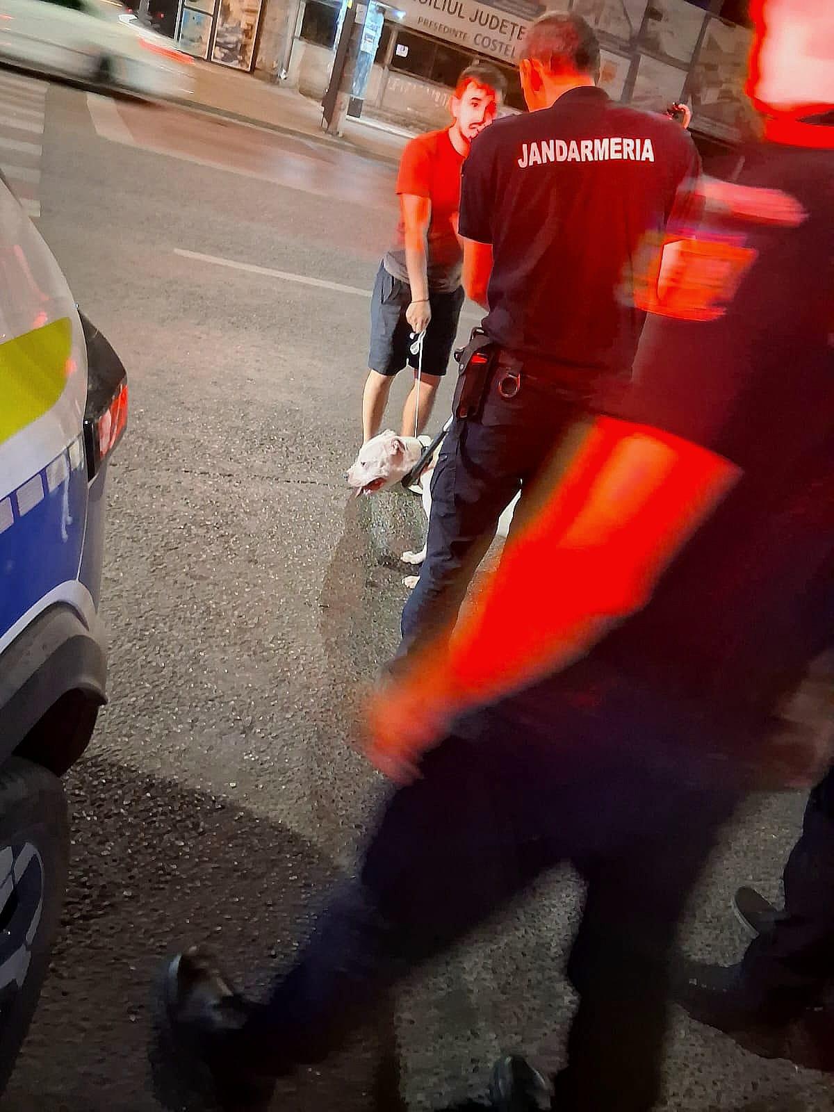 O tânără din Galaţi a ajuns la spital, după ce a fost atacată de un câine Amstaff