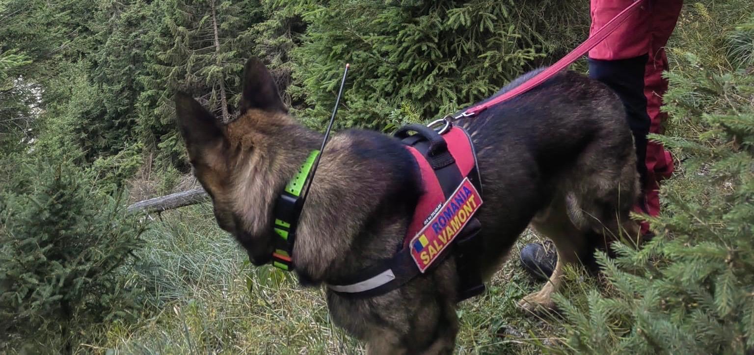 Descoperire macabră. Mai mulţi turişti au găsit oase umane pe Muntele Ceahlău