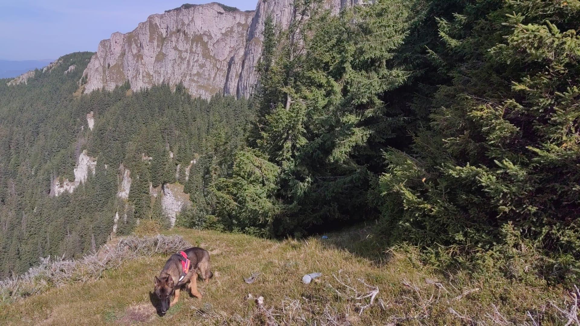 Descoperire macabră. Mai mulţi turişti au găsit oase umane pe Muntele Ceahlău