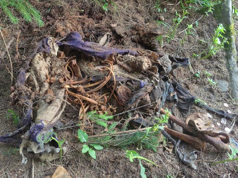 Descoperire macabră. Mai mulţi turişti au găsit oase umane pe Muntele Ceahlău Descoperire macabră. Mai mulţi turişti au găsit oase umane pe Muntele Ceahlău