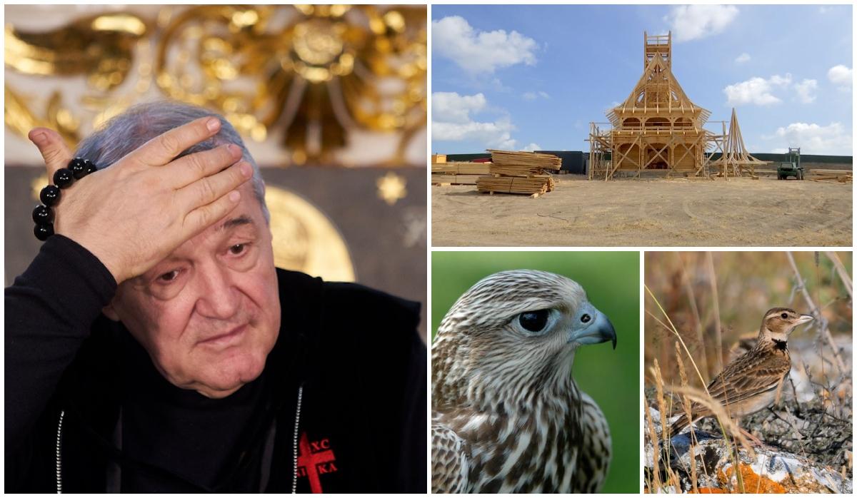 Biserica lui Gigi Becali din Techirghiol riscă să fie demolată. Sunt peste 280 de specii de păsări rare