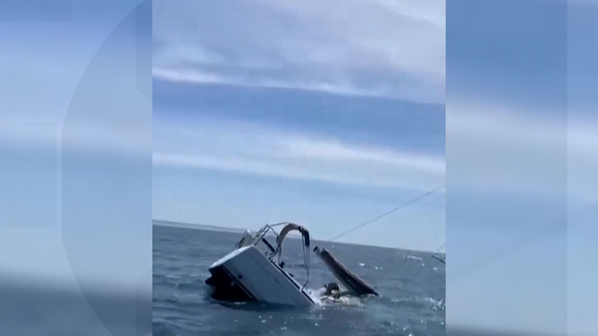 Un iaht s-a scufundat în largul coastelor Lisabonei. A fost lovit de balene ucigaşe