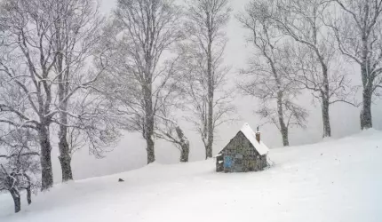 Unicul locuitor al unui sat din Alba, bolnav de inimă şi izolat de nămeţi. Poliţiştii i-au adus medicamentele