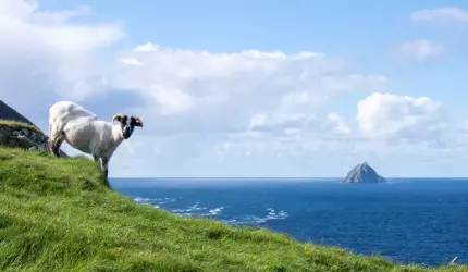 O insulă din Europa angajează doi oameni pentru câteva luni, cu masă şi cazare incluse. Condiţia bizară impusă