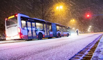 Amendă de 50.000 € pentru cine nu-şi curăţă trotuarul de zăpadă. Ţara în care autorităţile nu stau la discuţii