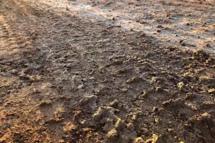 Primărie din România, obligată să asfalteze o stradă. A ridicat încadrarea, deşi oamenii stăteau tot în noroi