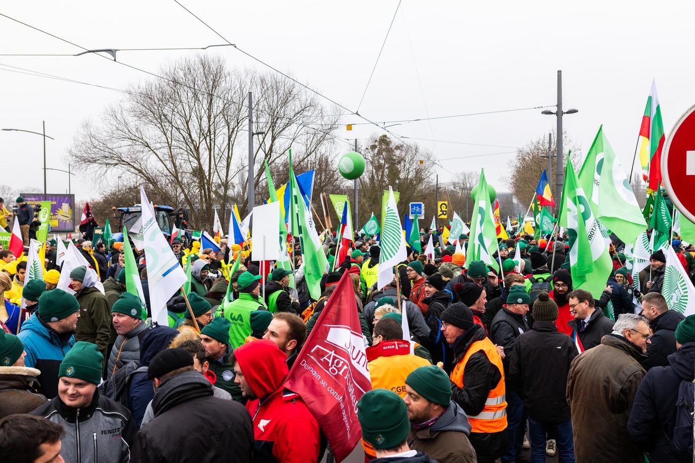 Mii de fermieri europeni, inclusiv români, protestează în faţa Parlamentului European: "Stop Mercosur!"