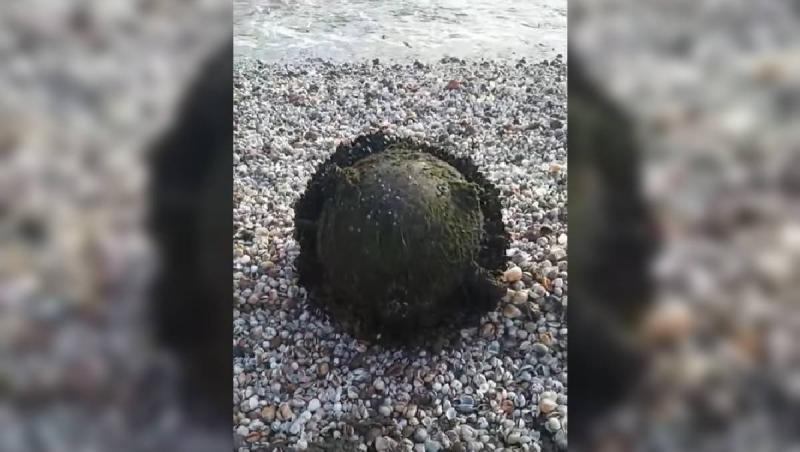 O nouă mină marină, descoperită pe plaja din Midia, &icirc;n apropierea poligonului. Zona a fost securizată