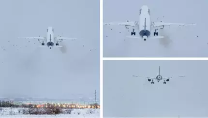 Incident pe Aeroportul din Cluj. Avion Lufthansa ratează aterizarea după ce loveşte un stol de păsări