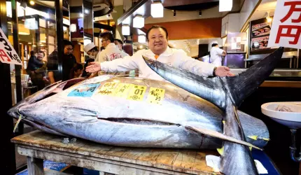 Ton roșu uriaș vândut la un preț record de 3,2 milioane de dolari. Cine l-a cumpărat