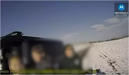 Cum arată curajul la 12 ani. Un băiat din Tulcea și-a salvat frații de câini agresivi, după ce a sunat la 112