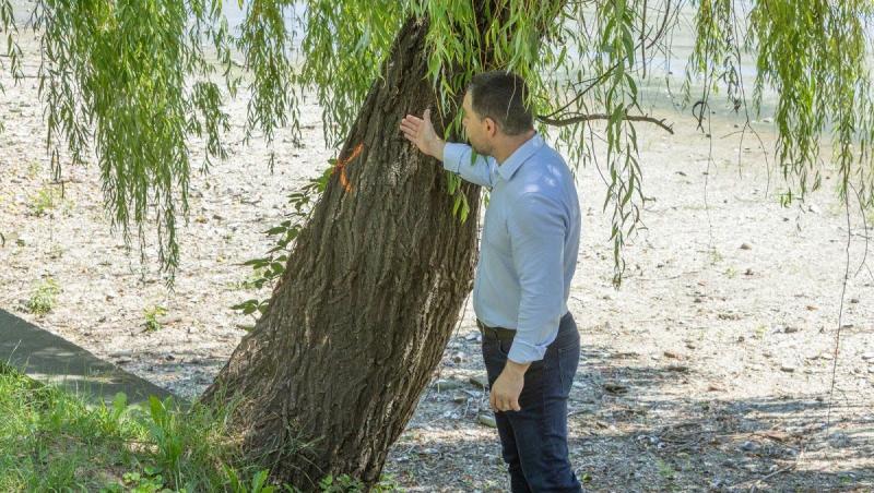 Primarul Ciprian Ciucu s-a interesat de starea copacilor din jurul Lacului Herăstrău