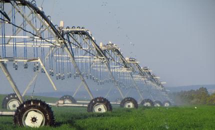 Urmările secetei în Ungaria. Apa din iazurile piscicole, folosită pentru irigarea terenurilor agricole