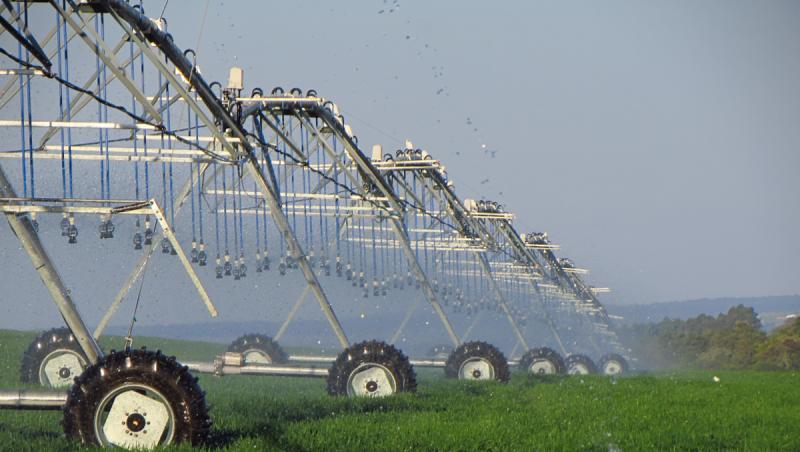 Urmările secetei în Ungaria. Apa din iazurile piscicole, folosită pentru irigarea terenurilor agricole