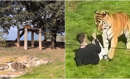 Bărbatul ucis de tigru într-un parc zoologic din Marea Britanie și-a filmat ultimele momente