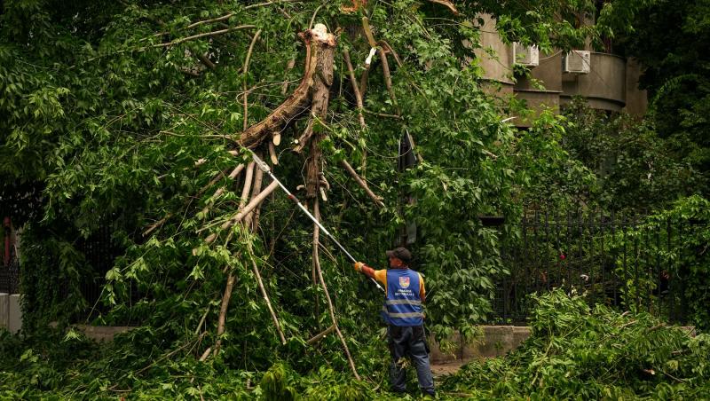 Cod galben de vânt puternic în cinci județe din România. Rafalele vor ajunge până la 70 km/h. Zonele vizate