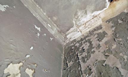 Renova casa pe care o moştenise, când a descoperit într-un perete o adevărată comoară. Riscă însă să o piardă